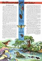 Wunderwelt der Natur